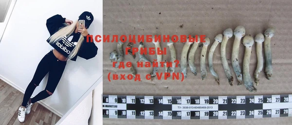 метадон Вяземский