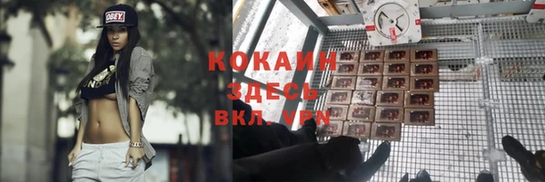ешки Волосово