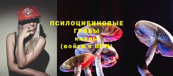 МДПВ Вязьма