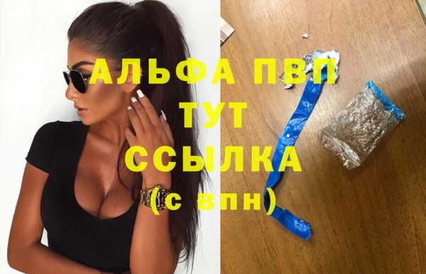 ECSTASY Горно-Алтайск