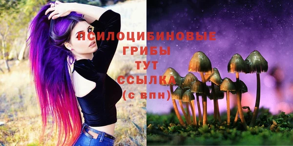 тгк Карпинск