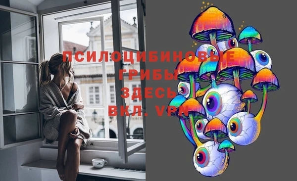 метадон Вяземский