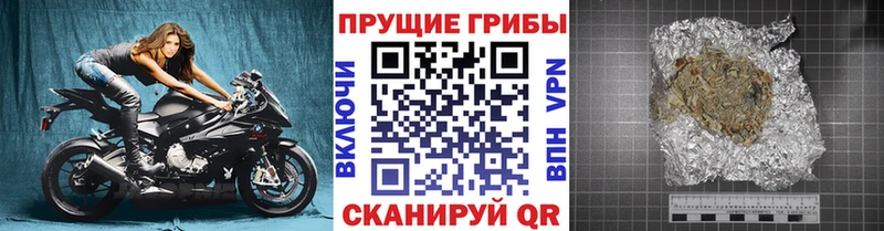 купить  сайты  Заозёрный  Галлюциногенные грибы MAGIC MUSHROOMS 